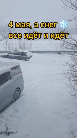 Северная весна 😱😱😱 #весна #север #снег #снегопад #сибирскоездоровье 