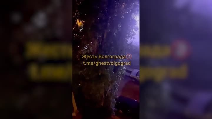 В Волгограде очевидцы сняли на видео стрелявшего под окнами мужчину