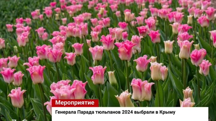 Новости КерчьИНФО 24 апреля