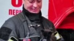 В Перми пожарные спасли троих котят и одного приняли в отряд