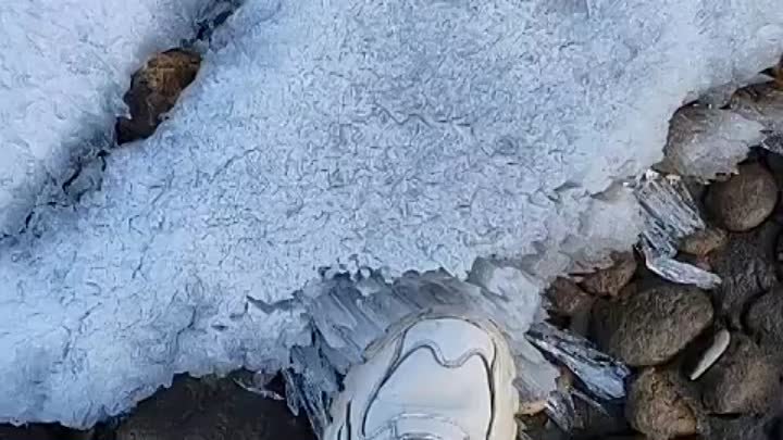 Видео от Елены Амбурцевой.Удивительное зрелище- игольчатый лёд.