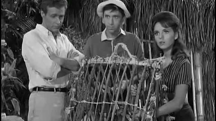 Gilligan's Island: 1x07 -  The Sound of Quacking