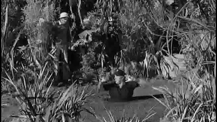 Gilligan's Island: 1x10 - Waiting for Watubi