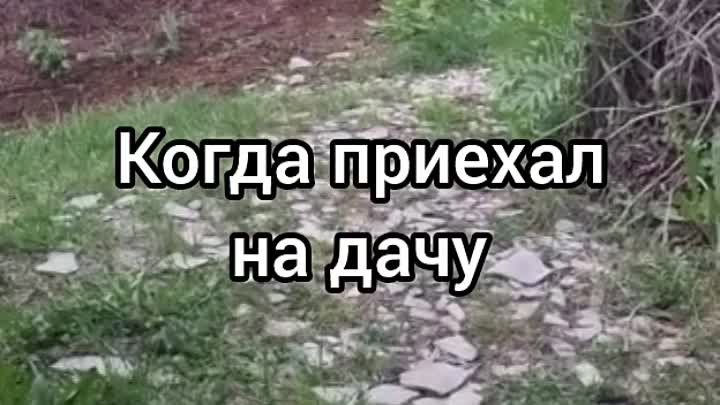 Когда выходные удались