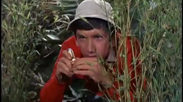 Gilligan's Island: 3x02 - Gilligan vs. Gilligan