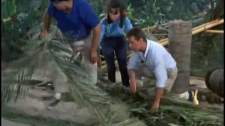 Gilligans Island: 3x21 - Gilligan's Personal Magnetism