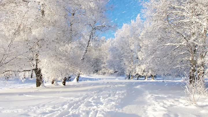 Снегопад