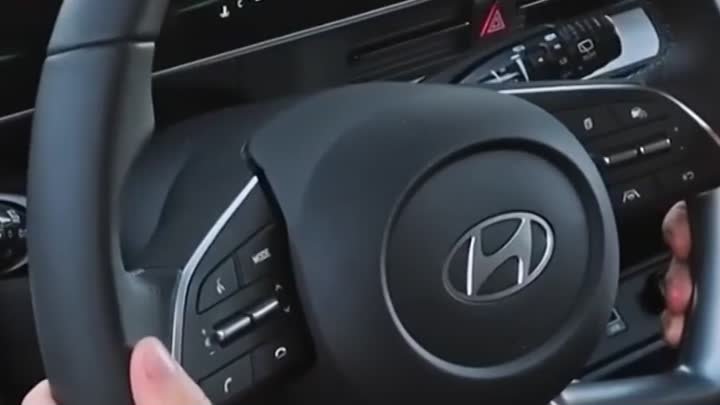 Оригинальный салон Hyundai Mufasa