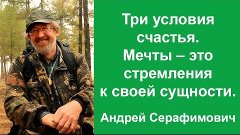 Три условия счастья. Мечты – это стремления к своей сущности...