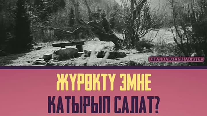 Жүрөктү эмне катырат?