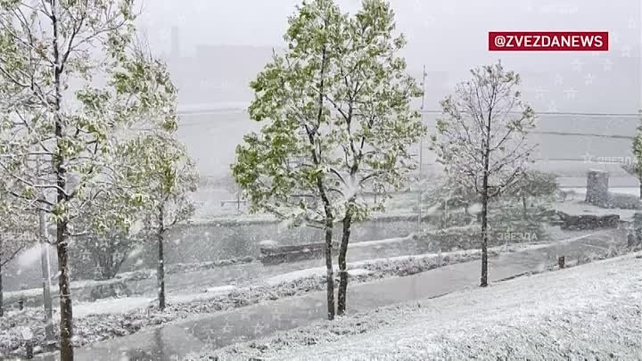 Мощная снежная метель накрыла Москву