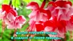 Это_тебе_просто_так.🌹💐mp4