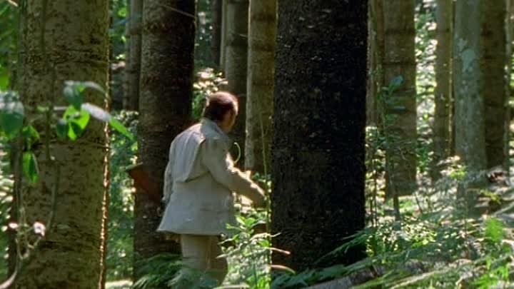 ACD, The Lost World.s01e19.1999.DVDrip.x264-ExtremlymTorrents.ws