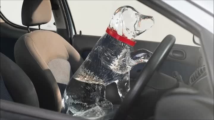 Не оставляйте собак в жару в машине!!!