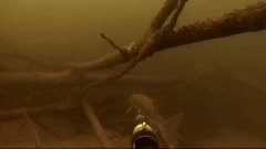 Подводная охота с Тайменем на щуку