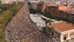 Протесты в Барселоне, вот это массовость