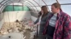 В Шенталинском районе супруги запустили мини птицекомплекс