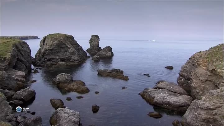 Тайны Земли, Океана и Космоса (Группа «Романтики Моря и Неба»)