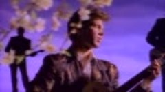 151 Chris Isaak - You Owe Me Some Kind Of Love