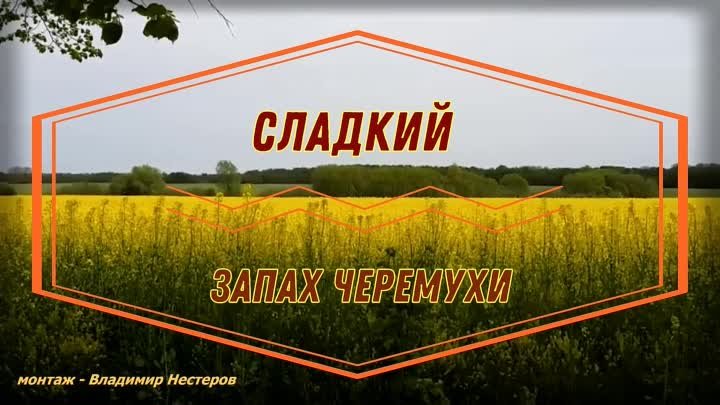 Борис Краюшкин и Наталия АИР - Сладкий запах черемухи (муз.- Б. Краюшкин, сл.- Вл. Нестеров и Б. Краюшкин) версия