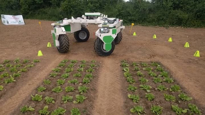 Robot agricole enjambeur Dino  ses premiers tours de roues