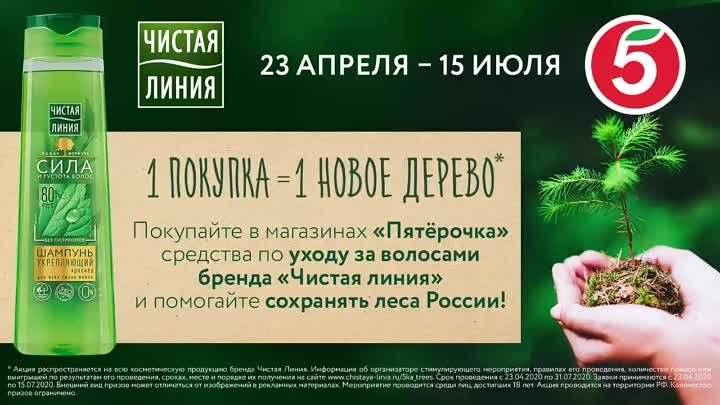 Сохраним живые леса России вместе!
