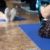 #ЖивиАктивно

Наши занятия по йоге 🙏

#Новоуральск #УральскоеРоднолесье #ПрезидентскиеГранты