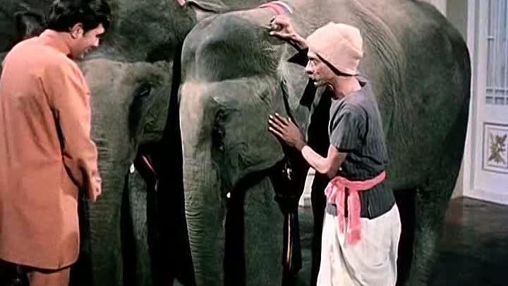Я и мой слон. Слоны Мои друзья Индия.