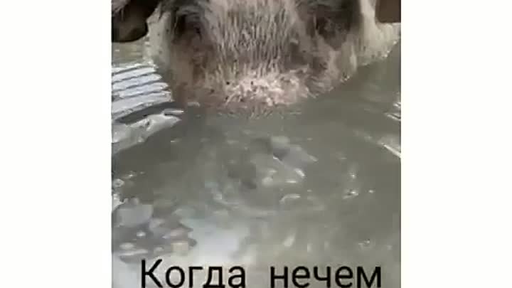 Когда нечего делать)