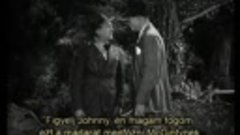 Ördögi denevér (1940)