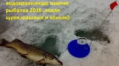 Иваньковское водохранилище зимняя рыбалка 2016,шашлык и конь...