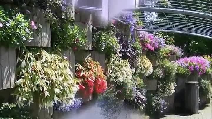 Подвесные цветы, оригинальное украшение вашего двора, дачного участка