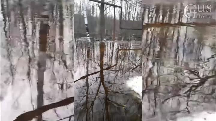 Река Гусь вышла из берегов и топит дома.