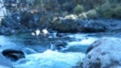 Алтай. Музыка горной реки Чемал