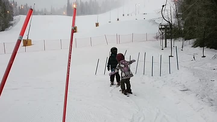 Дети на горных лыжах. Скифактор.