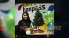 new year Hanpass