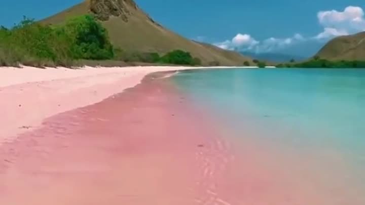 Розовый пляж Индонезии 🇮🇩