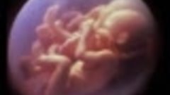 Разговор двух младенцев в утробе матери SCYOA.net