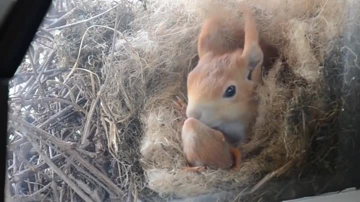 Такое чудо за окном=)