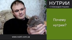 Все о нутриях - Почему нутрии? (часть 2)