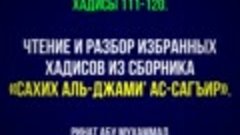 12. «Сахих аль-Джами’ ас-Сагъир». Хадисы 111-120. __ Ринат А...