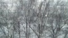 25января. В Москве - сильный ветер и идёт мокрый снег. 
