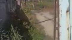 WhatsApp Video 2020-08-12 at 09.58.26