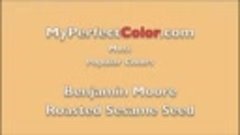 Benjamin Moore Most Popular Colors