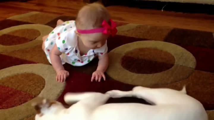 Собака  учит ползать младенца...