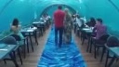 Ресторан под водой 