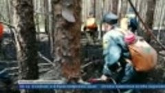 Потушен самый крупный в России лесной пожар