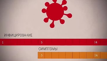 COVID-19 и самоизоляция. Почему надо сидеть дома