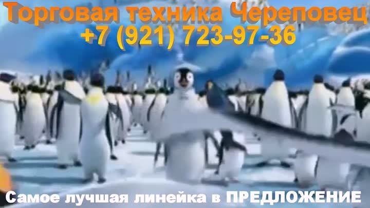 ПИНГВИНЫ ТАНЦУЮТ Самое лучшее ХОЛОДИЛЬНОЕ ОБОРУДОВАНИЕ Торговая техн ...