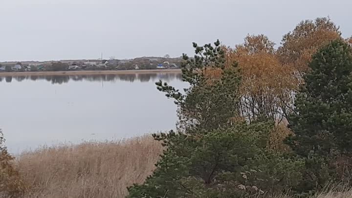Озеро Малобелое  д.Малобелое д.Колупаевка и д.Пичевка.15октября2020года.